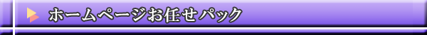 ホームページお任せパック